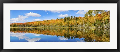 Framed Reflection of trees in a lake, Pete&#39;s Lake, Schoolcraft County, Upper Peninsula, Michigan, USA Print