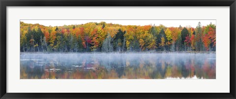 Framed Trees in autumn at Lake Hiawatha, Alger County, Upper Peninsula, Michigan, USA Print