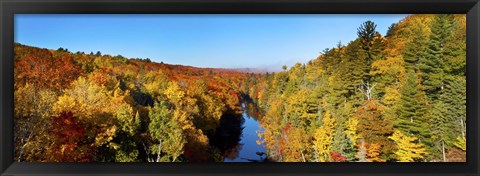 Framed Trees in Autumn at Dead River, Michigan Print