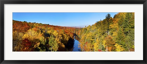 Framed Trees in Autumn at Dead River, Michigan Print