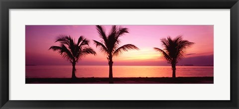 Framed Miami Beach, Florida, USA Print