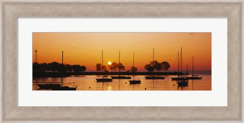 Framed Silhouette of sailboats in a lake, Lake Michigan, Chicago, Illinois, USA Print