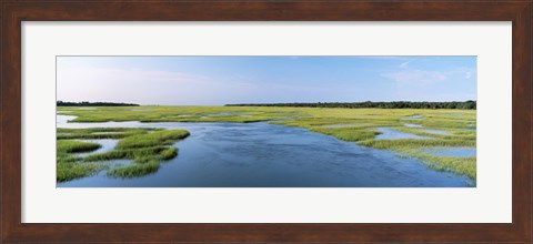 Framed Sea grass in the sea, Atlantic Coast, Jacksonville, Florida, USA Print