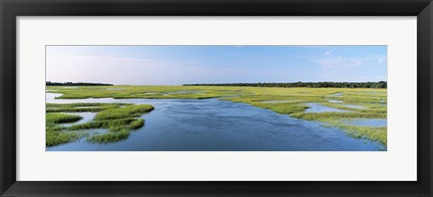 Framed Sea grass in the sea, Atlantic Coast, Jacksonville, Florida, USA Print