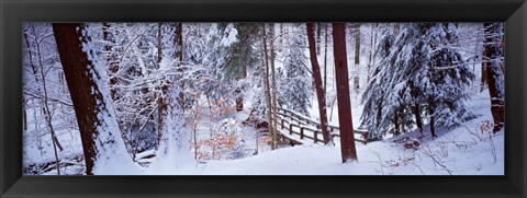 Framed Winter footbridge Cleveland Metro Parks, Cleveland OH USA Print