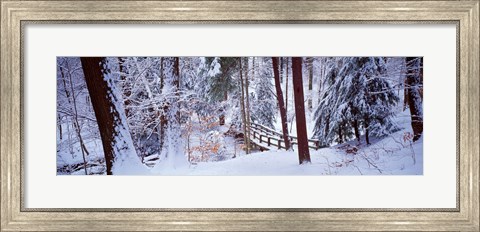 Framed Winter footbridge Cleveland Metro Parks, Cleveland OH USA Print