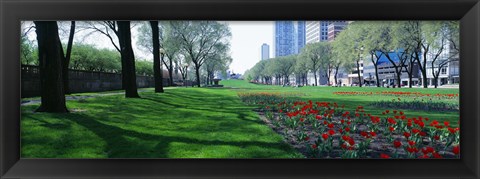 Framed Public Gardens, Loop, Cityscape, Grant Park, Chicago, Illinois, USA Print