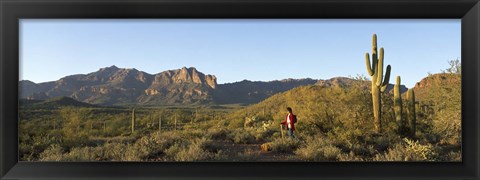 Framed Hiker standing on a hill, Phoenix, Arizona, USA Print