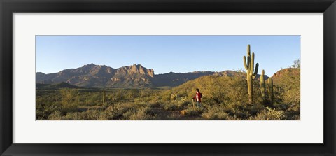 Framed Hiker standing on a hill, Phoenix, Arizona, USA Print