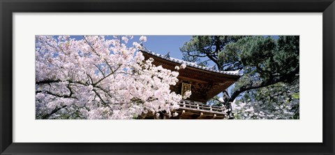 Framed Golden Gate Park, Japanese Tea Garden Print