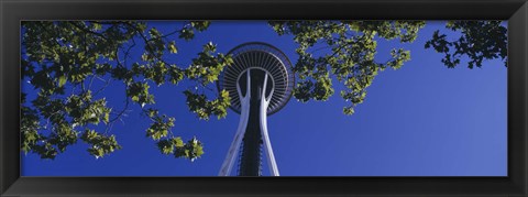 Framed Space Needle Maple Trees Seattle Center Seattle WA USA Print