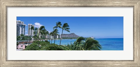 Framed Palm Trees On The Beach, Waikiki Beach, Honolulu, Oahu, Hawaii, USA Print