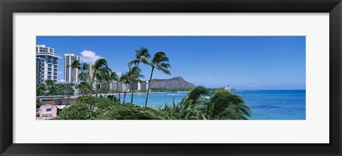 Framed Palm Trees On The Beach, Waikiki Beach, Honolulu, Oahu, Hawaii, USA Print