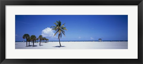 Framed Palm Trees in Miami Print