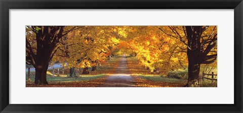 Framed Road, Baltimore County, Maryland, USA Print