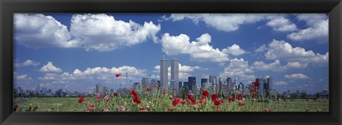 Framed Red Flowers in a park with buildings in the background, Manhattan Print