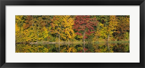 Framed Reflection of trees in water, Saratoga Springs, New York City, New York State, USA Print