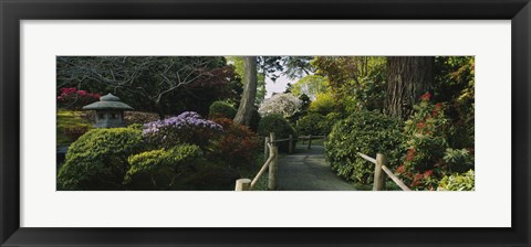 Framed Plants in a garden, Japanese Tea Garden, San Francisco, California, USA Print