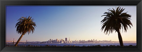 Framed Palm Trees At Dusk, San Francisco, California, USA Print