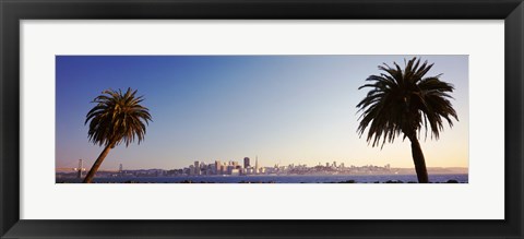 Framed Palm Trees At Dusk, San Francisco, California, USA Print