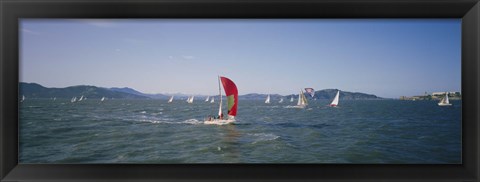 Framed Sailboats in the water, San Francisco Bay, California, USA Print