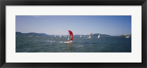 Framed Sailboats in the water, San Francisco Bay, California, USA Print