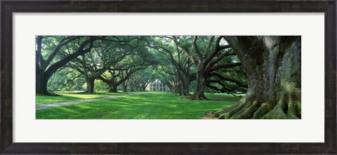 Framed USA, Louisiana, New Orleans, Oak Alley Plantation, plantation home through alley of oak trees Print