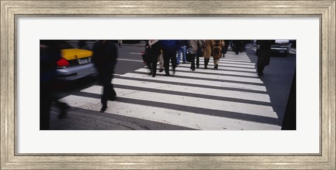 Framed Group of people crossing at a zebra crossing, New York City, New York State, USA Print