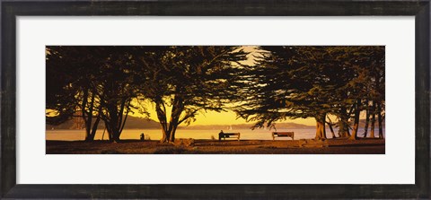 Framed Trees In A Field, Crissy Field, San Francisco, California, USA Print