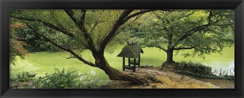 Framed Trees near a pond, Central Park, Manhattan, New York City, New York State, USA Print