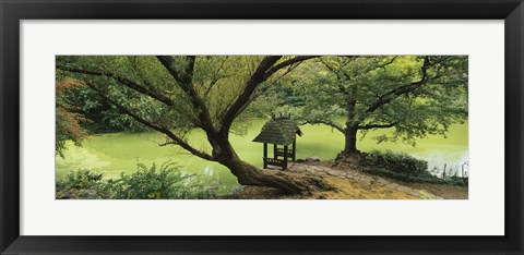 Framed Trees near a pond, Central Park, Manhattan, New York City, New York State, USA Print