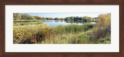 Framed Reflection of trees in water, Odana Hills Golf Course, Madison, Dane County, Wisconsin, USA Print