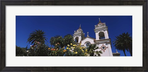 Framed Plants in front of a cathedral, Portuguese Cathedral, San Jose, Silicon Valley, Santa Clara County, California, USA Print