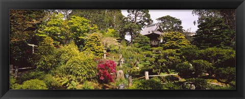 Framed Cottage in a park, Japanese Tea Garden, Golden Gate Park, San Francisco, California, USA Print