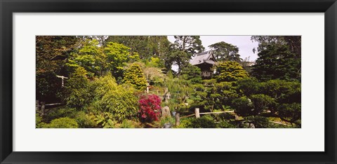 Framed Cottage in a park, Japanese Tea Garden, Golden Gate Park, San Francisco, California, USA Print