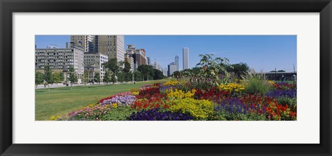 Framed Flowers in a garden, Welcome Garden, Grant Park, Michigan Avenue, Roosevelt Road, Chicago, Cook County, Illinois, USA Print