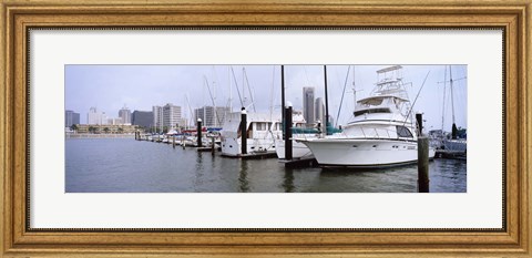 Framed Yachts at a harbor with buildings in the background, Corpus Christi, Texas, USA Print