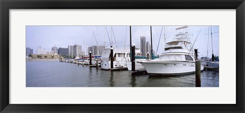 Framed Yachts at a harbor with buildings in the background, Corpus Christi, Texas, USA Print