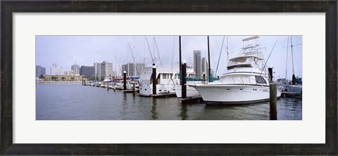 Framed Yachts at a harbor with buildings in the background, Corpus Christi, Texas, USA Print