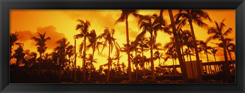 Framed Palm trees on the beach, The Setai Hotel, South Beach, Miami Beach, Florida, USA Print