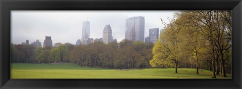 Framed Foggy view of trees and buildings, Central Park, Manhattan, New York City, New York State, USA Print