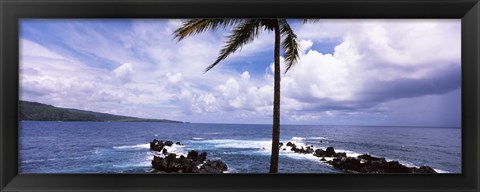 Framed Palm tree on the coast, Honolulu Nui Bay, Nahiku, Maui, Hawaii, USA Print