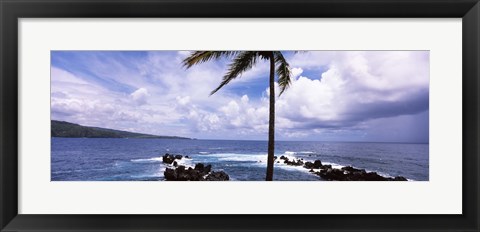 Framed Palm tree on the coast, Honolulu Nui Bay, Nahiku, Maui, Hawaii, USA Print