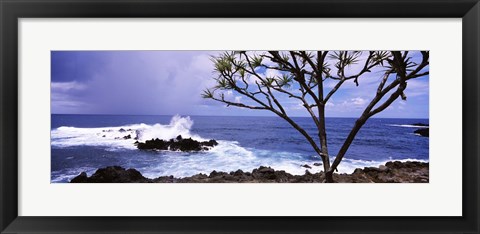 Framed Tree on the coast, Honolulu Nui Bay, Nahiku, Maui, Hawaii, USA Print