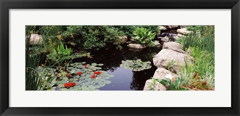 Framed Sunken Garden, Olbrich Botanical Gardens, Madison, Wisconsin Print