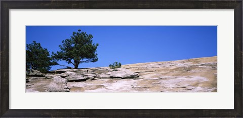 Framed Trees on a mountain, Stone Mountain, Atlanta, Fulton County, Georgia Print