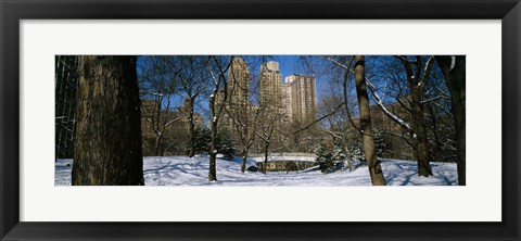 Framed Bare trees with buildings in the background, Central Park, Manhattan, New York City, New York State, USA Print