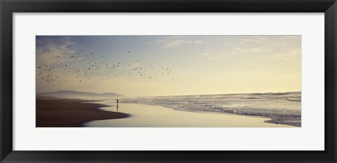 Framed Flock of seagulls flying above a woman on the beach, San Francisco, California, USA Print