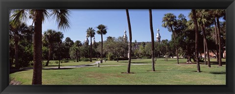 Framed Trees in a campus, University Of Tampa, Florida Print