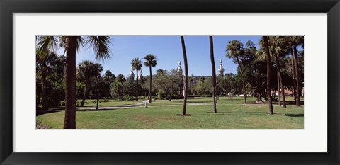 Framed Trees in a campus, University Of Tampa, Florida Print